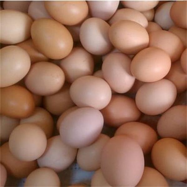 農(nóng)家(jiā)土(tǔ)雞蛋