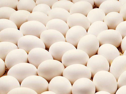 農(nóng)家(jiā)土(tǔ)雞蛋